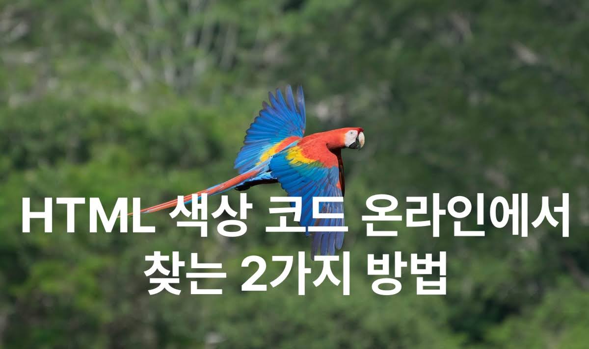 HTML 색상 코드 온라인에서 찾는 2가지 방법