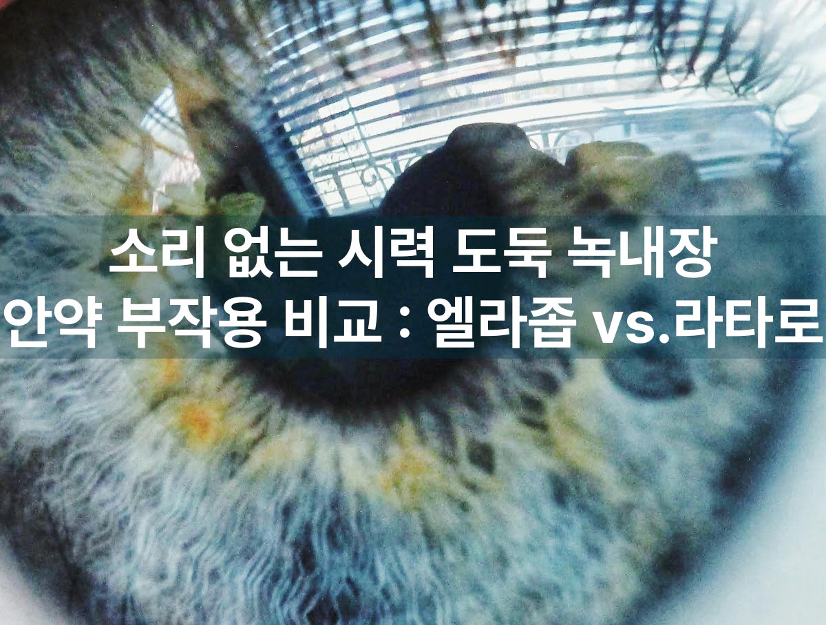 녹내장 안약 부작용 비교: 엘라좁(베타차단제) vs. 라타로(충혈), 고위험군 주의 사항