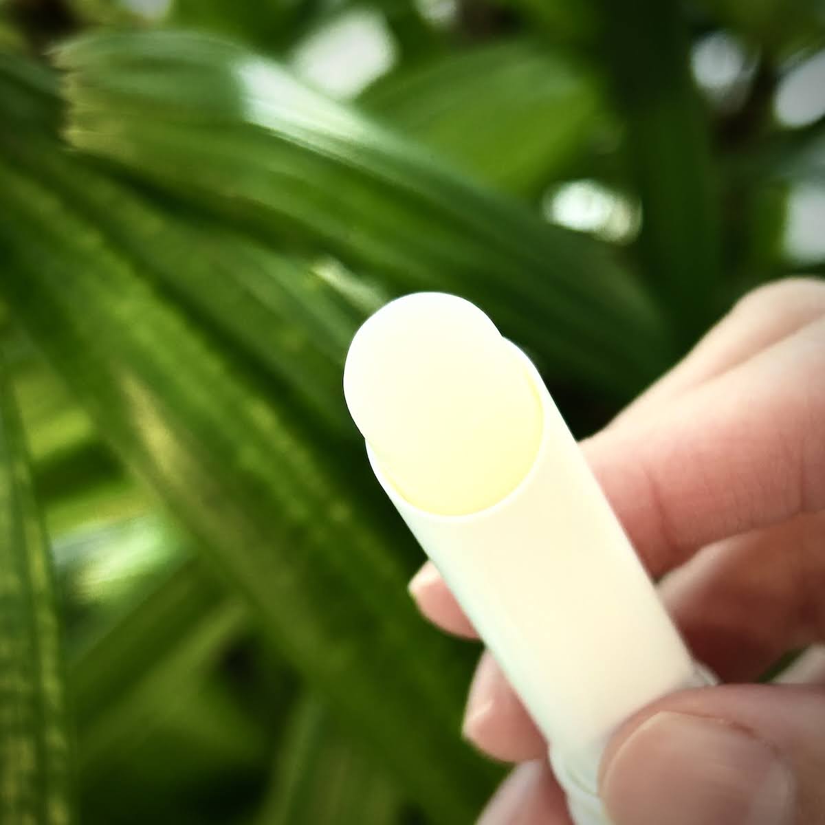 입술 피부염 극복기: 리얼베리어 익스트림 모이스처 립밤 성분 분석과 장벽 케어 꿀팁