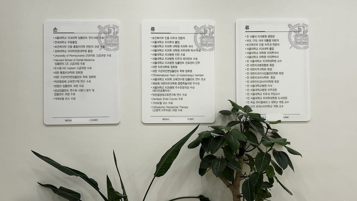 임플란트 뼈 이식 포함 100만원대, 대통령 자문의 치과 선택 이유 - 원장 경력