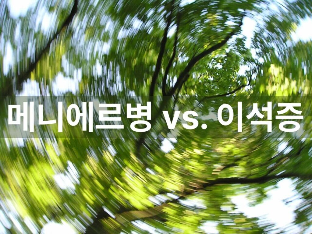 메니에르병 vs. 이석증 결정적 차이: 내 어지럼증의 진짜 원인과 대책